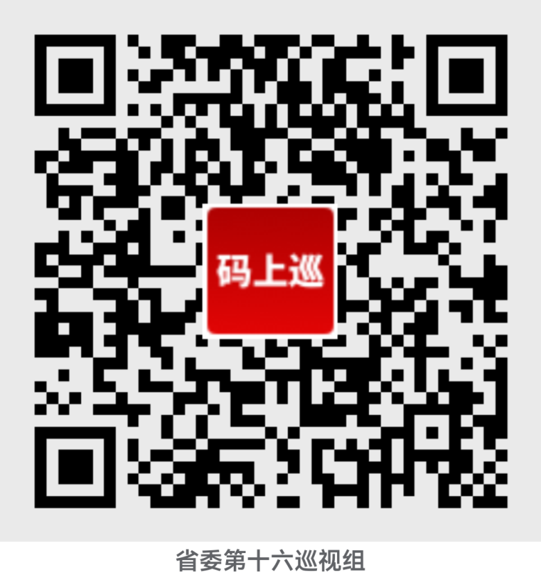 省委第十六巡視組巡視豫信電子科技集團(tuán)有限公司黨委工作動(dòng)員會(huì)議召開(kāi)
